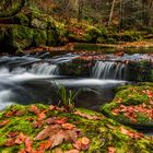 Verspäteter Herbstschlussverkauf