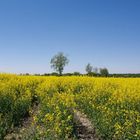 verspäteter Pfingstgruß oder in Bayern gehn die Uhren anders