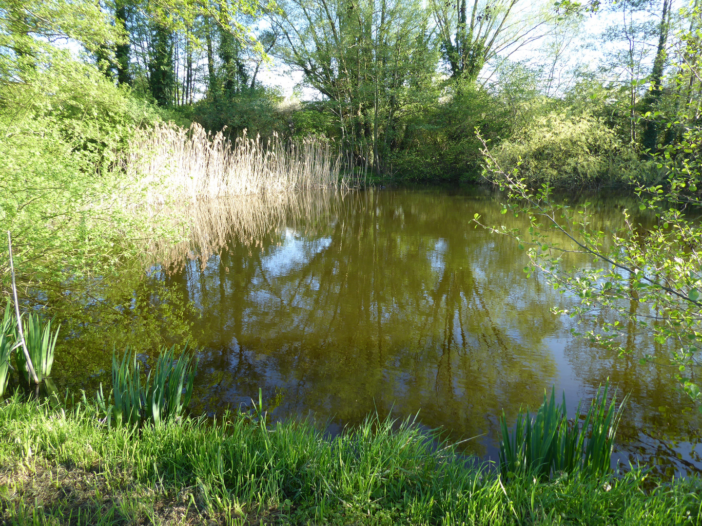 verspätetes Bild zum Spiegeltag