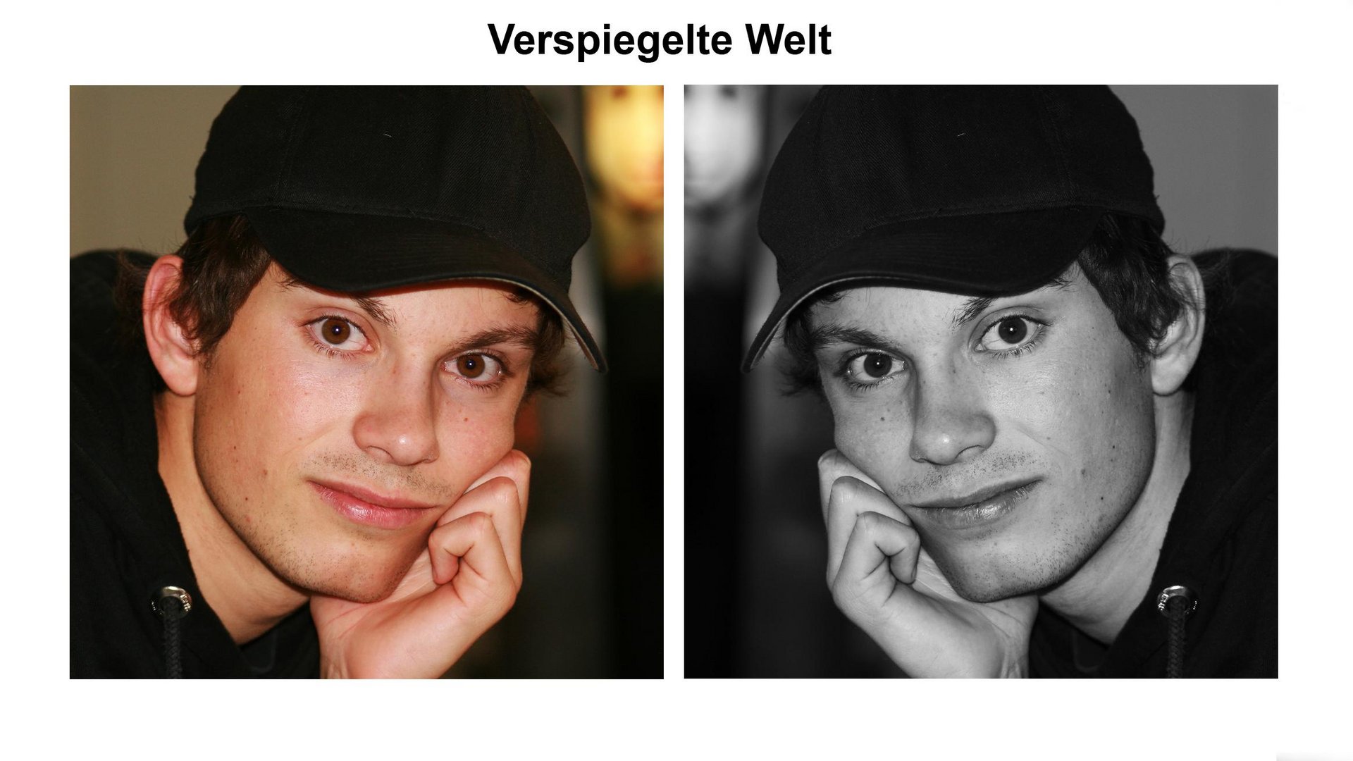 Verspiegelte Welt