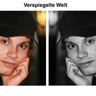 Verspiegelte Welt