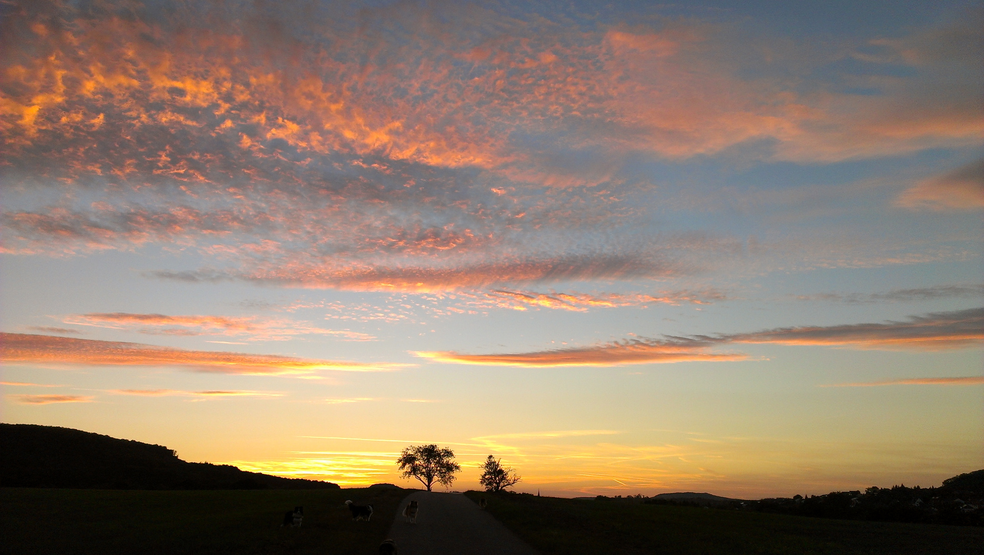 verspielte Abendträume