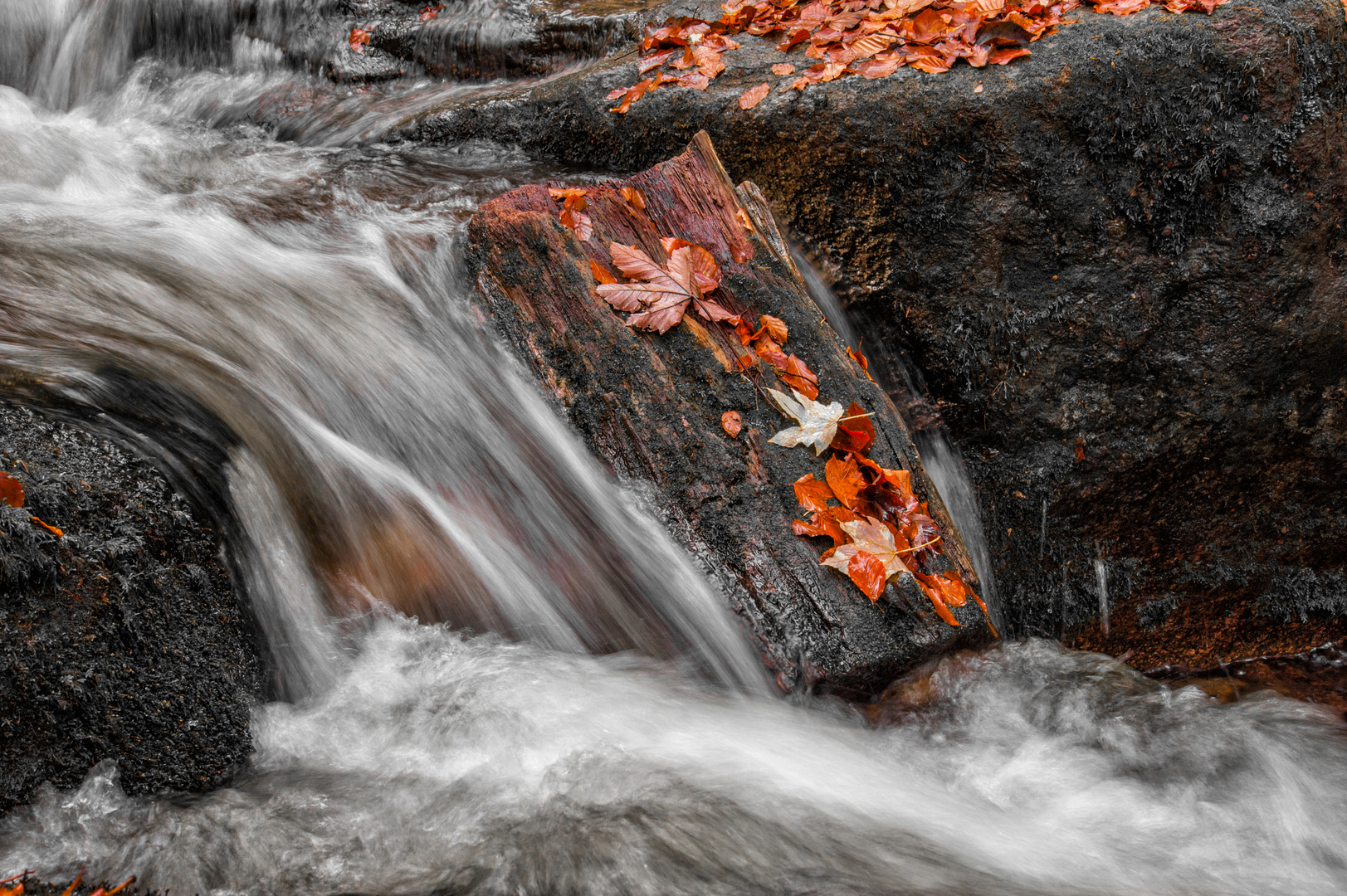 Verspielter Herbst