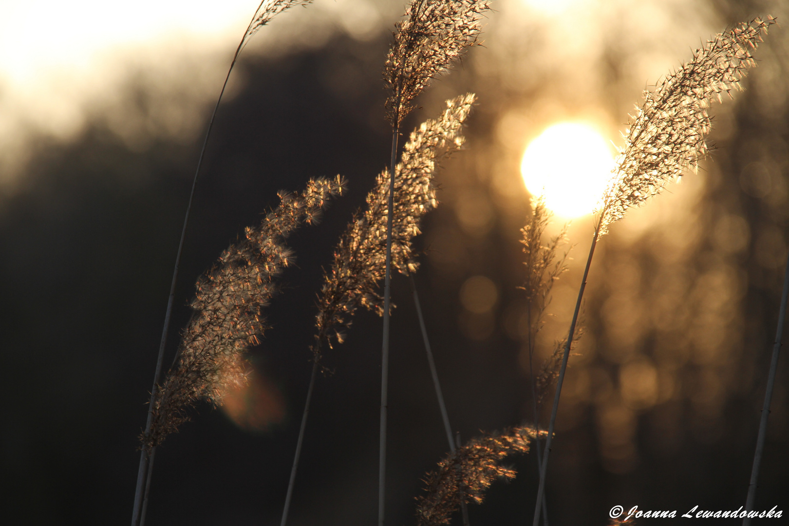 verspielter Sonnenuntergang