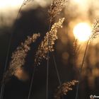 verspielter Sonnenuntergang