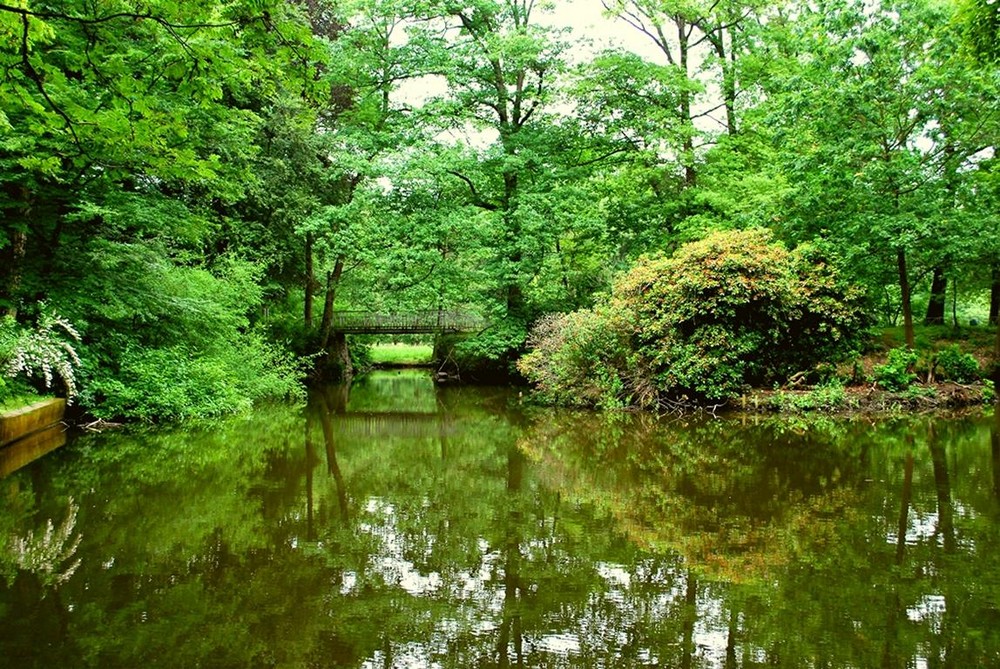 Verspielter Teich in Solingen