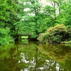 Verspielter Teich in Solingen