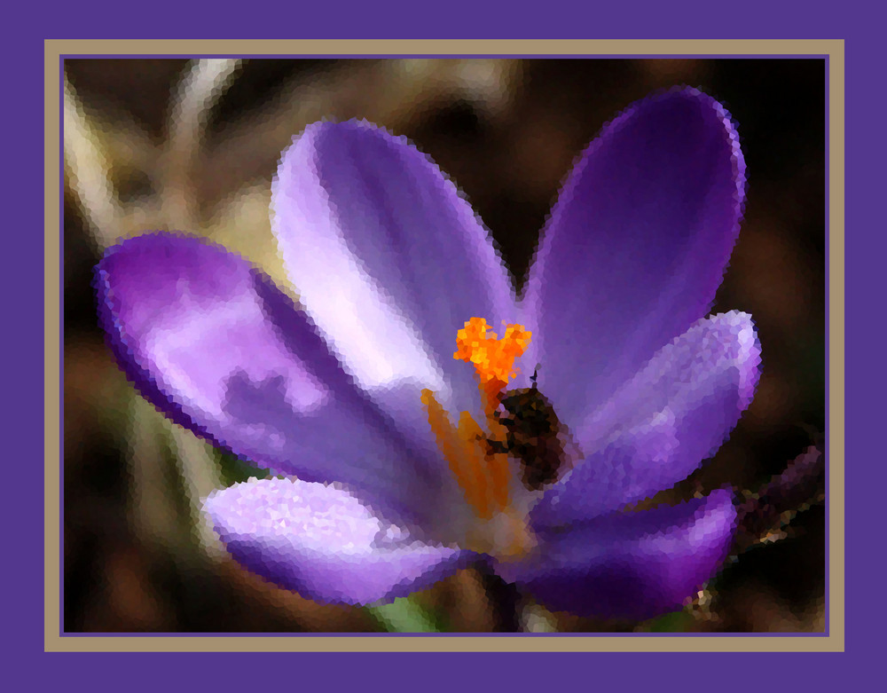 verspieltes Bienchen