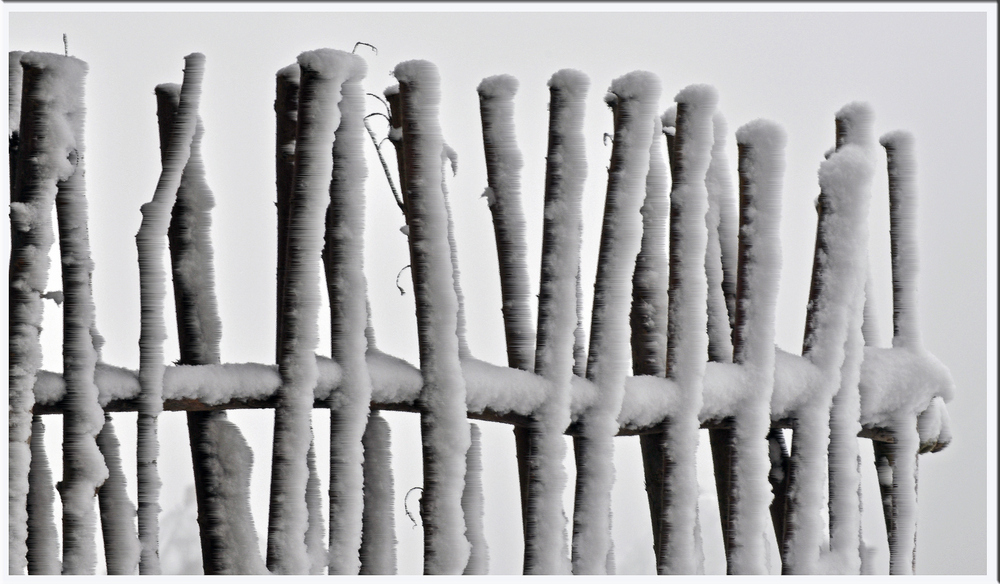 Versprochen - mein letztes Winterbild