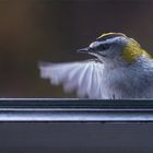 Verständigung am Fenster