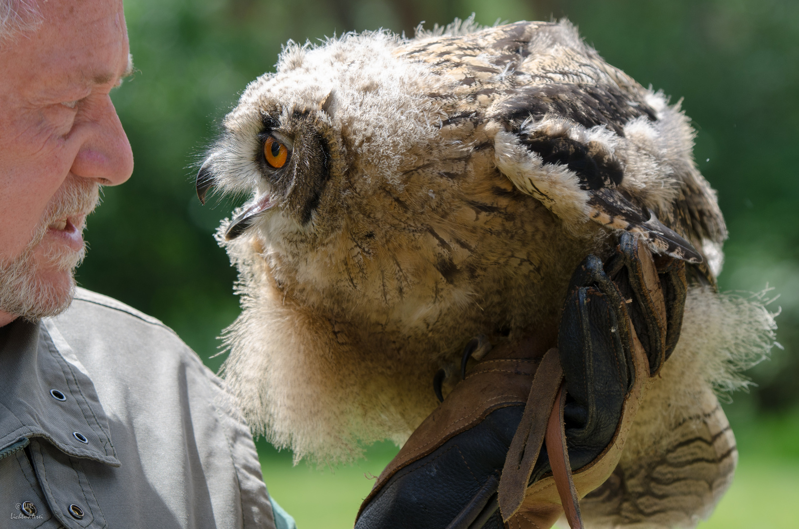 Verständigung Auge in Auge