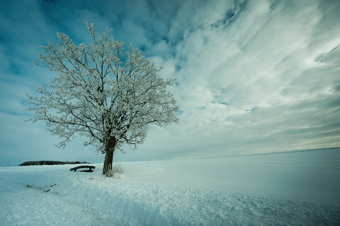 verstärkte Bildwirkung oder kaputtbearbeitet?