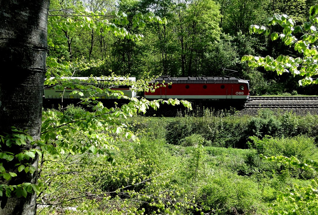 "Versteck 2011", Eisendorf, 30.04.2011