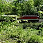 "Versteck 2011", Eisendorf, 30.04.2011