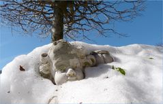 VERSTECK-ES HILFT NIX, DER FRÜHLING KOMMT!!!