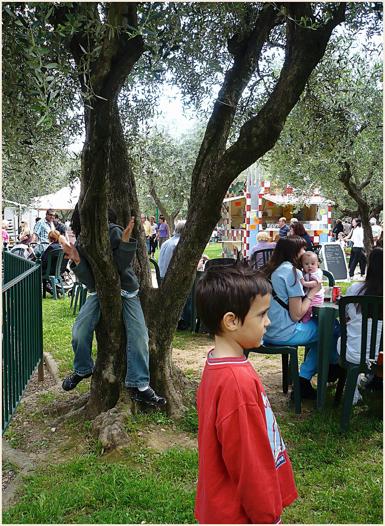 Versteck im Olivenbaum