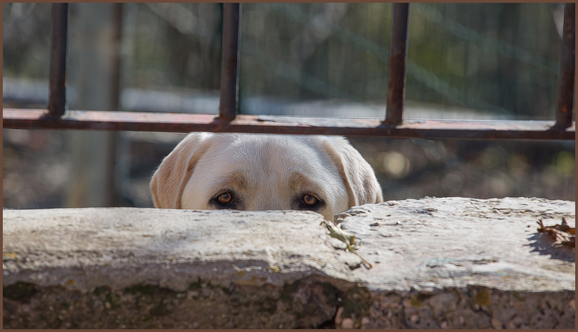 Versteck spielen