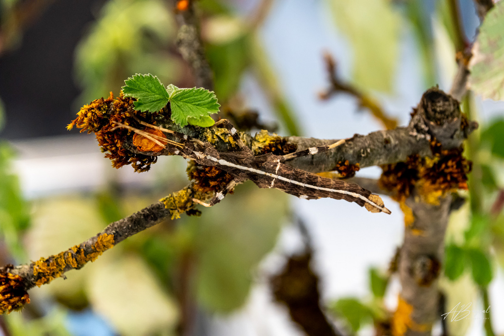 Verstecke Spielen