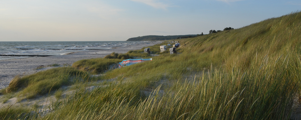 Verstecke Strandkörbe auf der Insel Hiddensee 2025