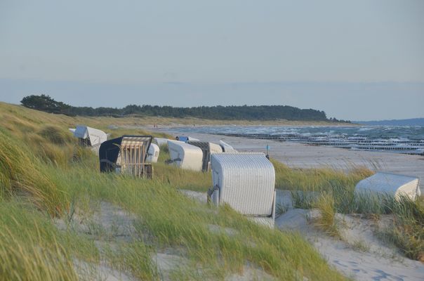Verstecke Strandkörbe auf der Insel Hiddensee 2025