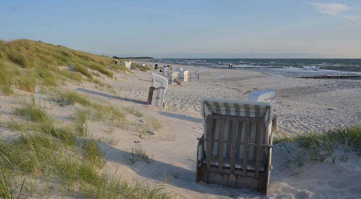 Verstecke Strandkörbe auf der Insel Hiddensee 2025