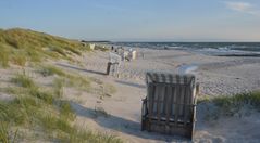 Verstecke Strandkörbe  auf der Insel Hiddensee 2025