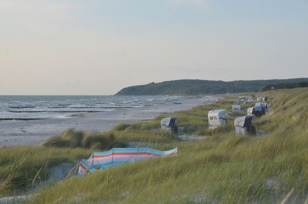 Verstecke Strandkörbe auf der Insel Hiddensee 2025