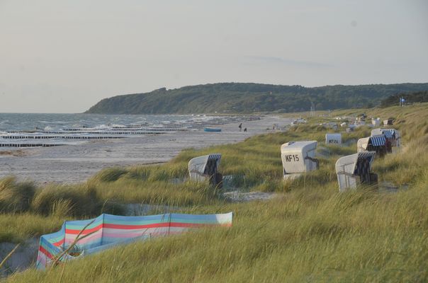 Verstecke Strandkörbe auf der Insel Hiddensee 2025