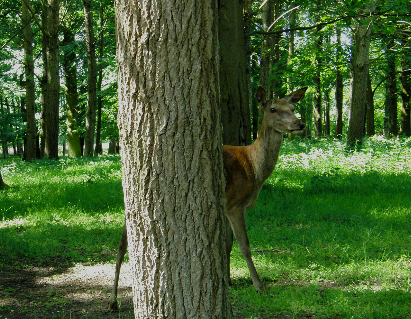 Verstecken?