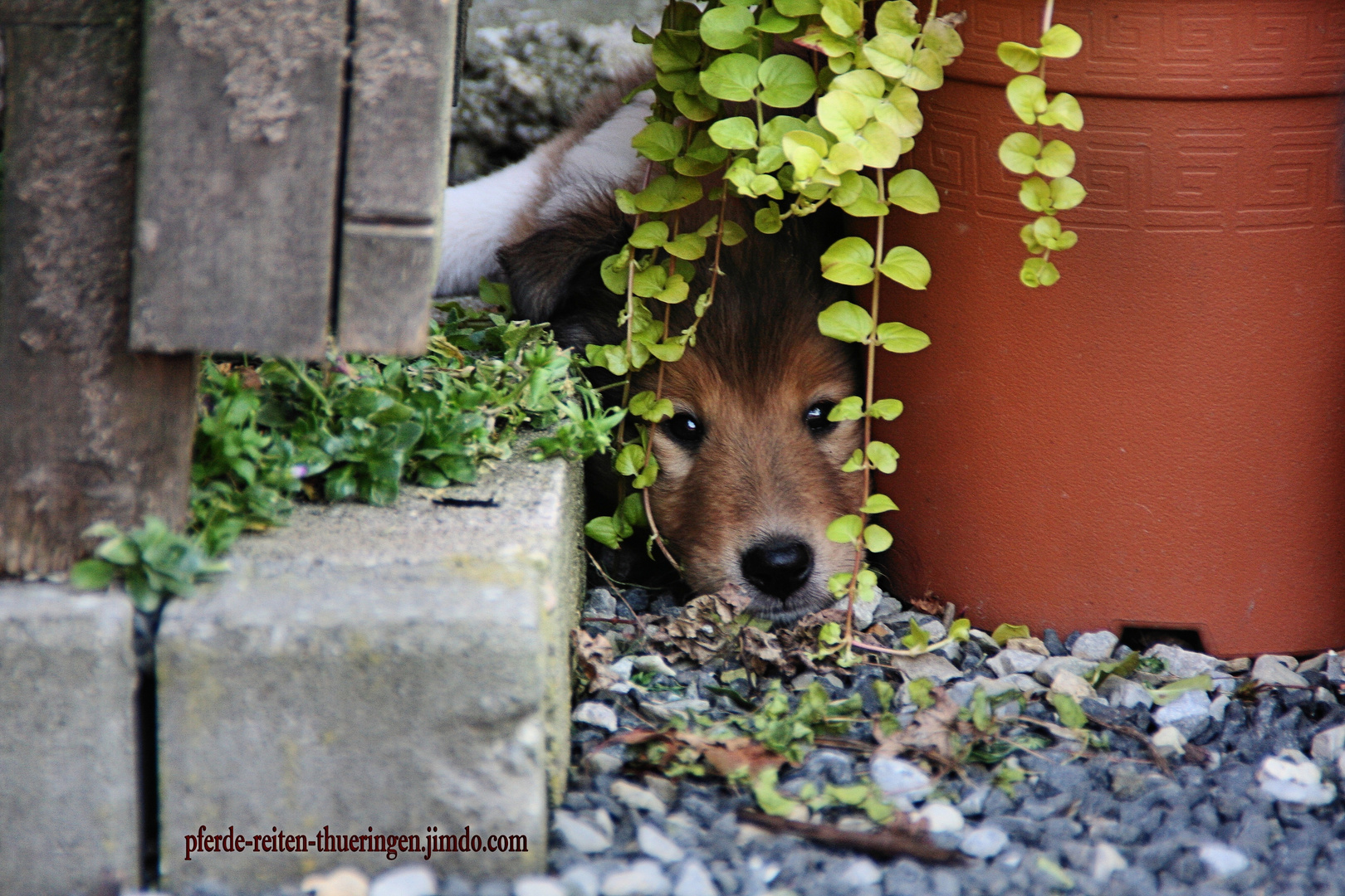 Verstecken