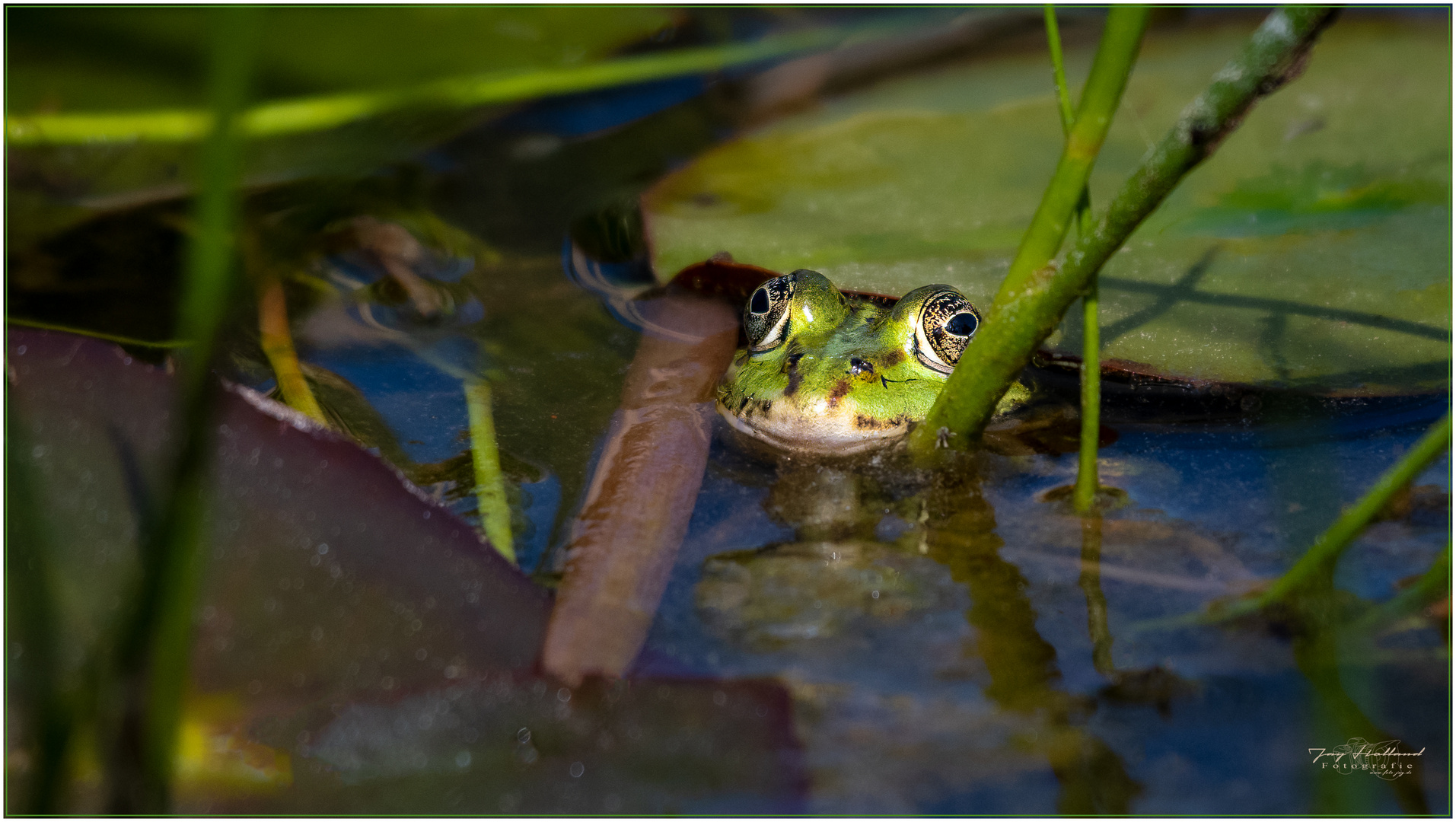 Verstecken hilft nicht