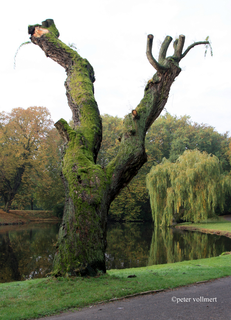 Verstecken im Georgengarten