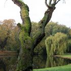 Verstecken im Georgengarten