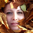 verstecken im herbst