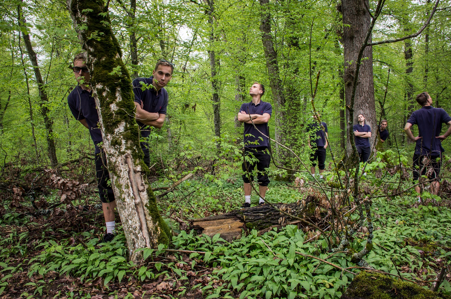 Verstecken im Wald