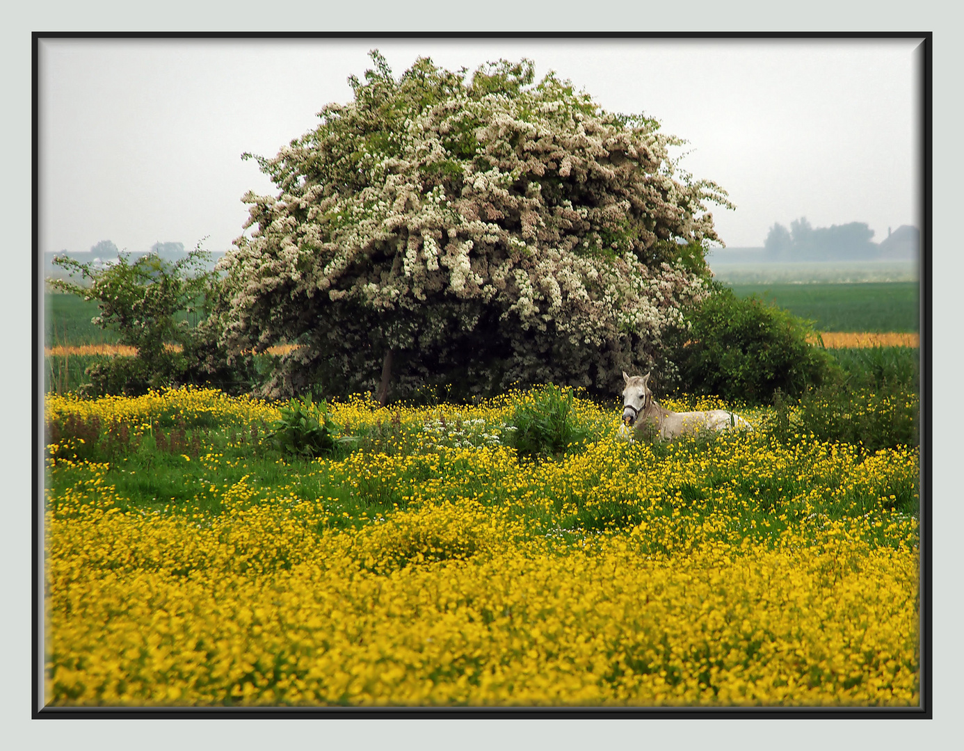 Verstecken lohnt nicht