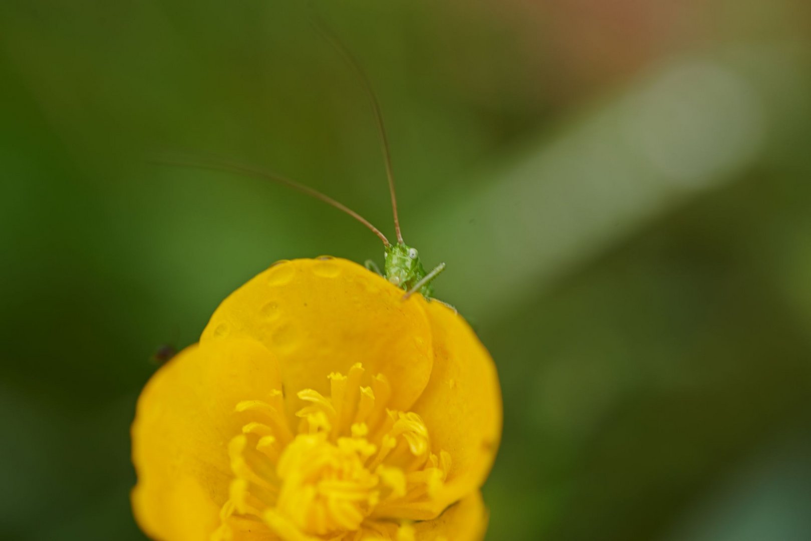 Verstecken spielen