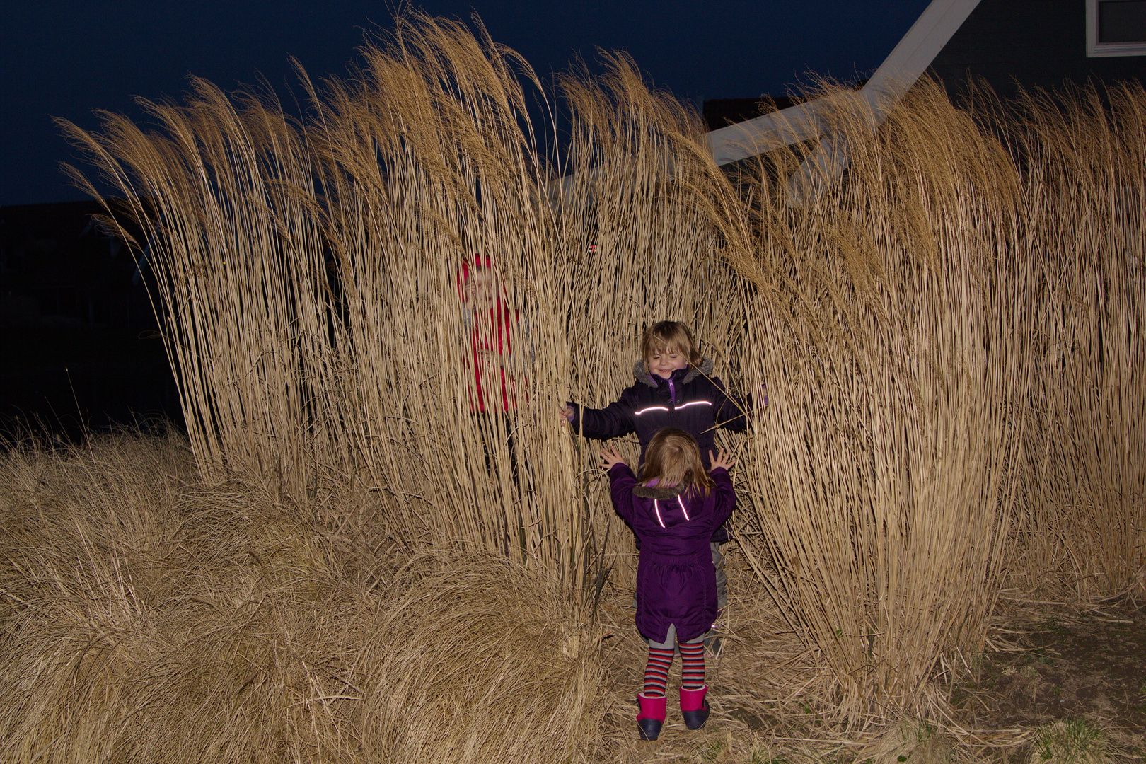 verstecken spielen im Riedgras