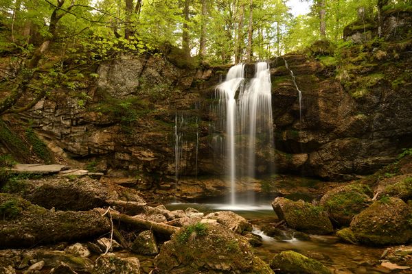 FroschAugen Foto & Bild  park, wasser, grün Bilder auf fotocommunity