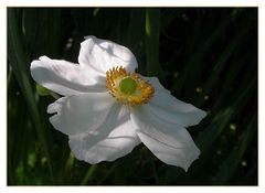 Versteckt