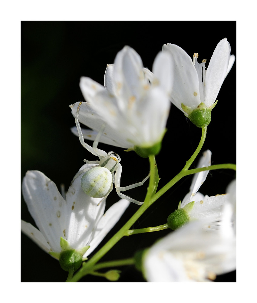 versteckt von Katrin Reuter