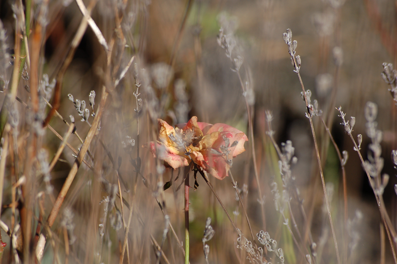 Versteckt