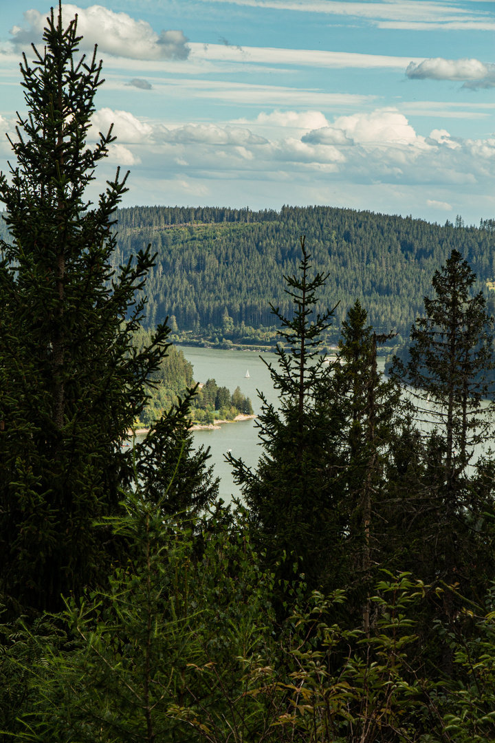 Versteckt hinter Bäumen: Der Schluchsee