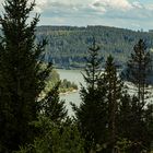 Versteckt hinter Bäumen: Der Schluchsee