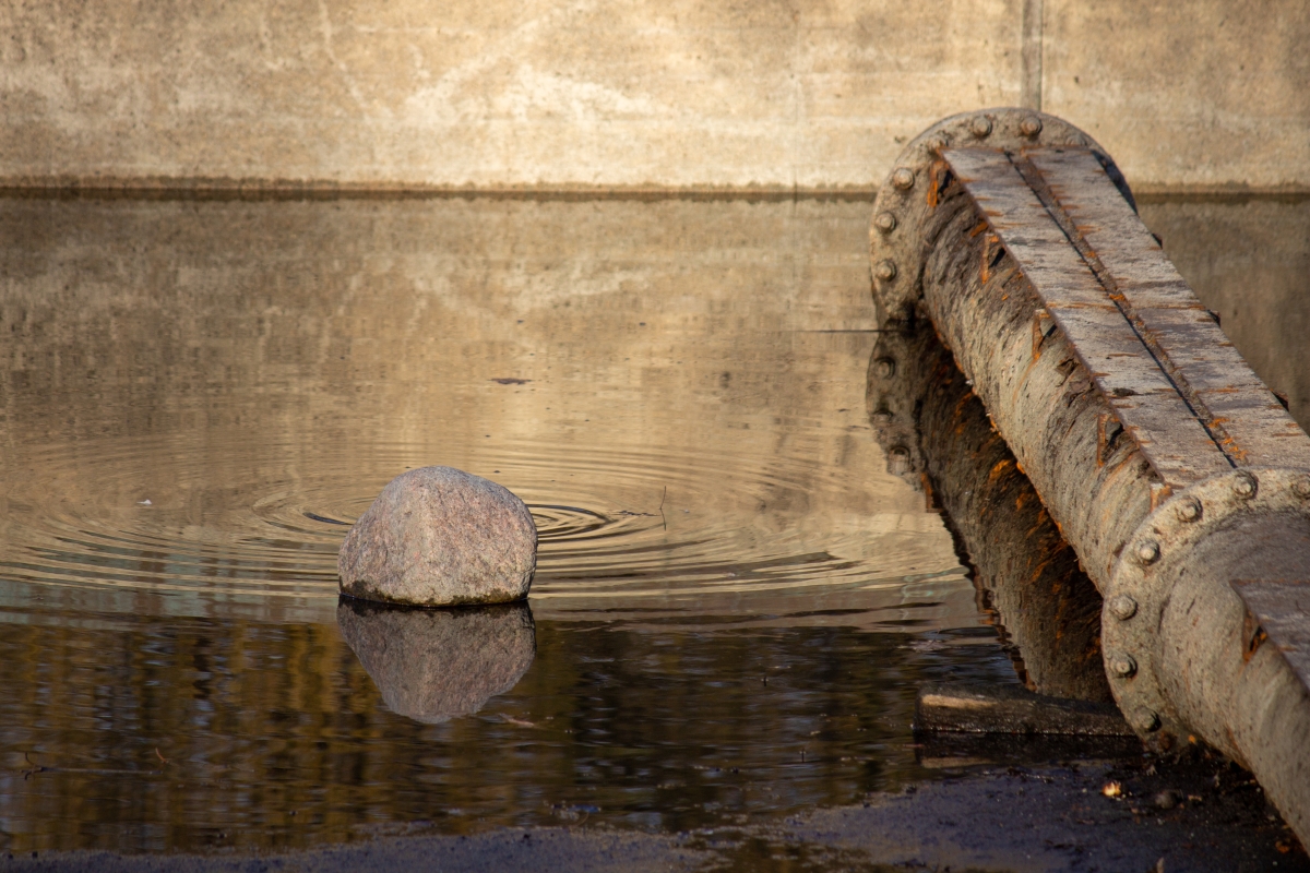 Versteckt hinter dem Stein