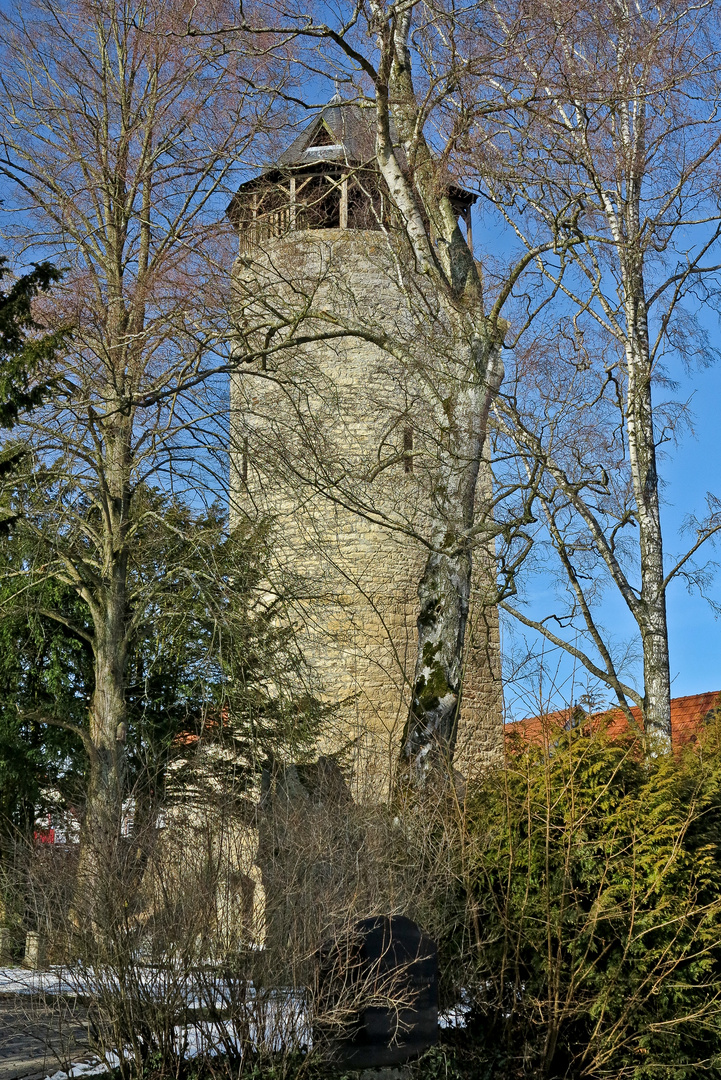 Versteckt hinter den Bäumen