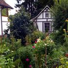 Versteckt im Bauerngarten