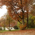 versteckt im Herbstwald