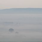 versteckt im Nebel