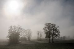 versteckt im Nebel